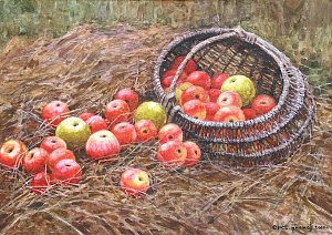 Apples on the Hay